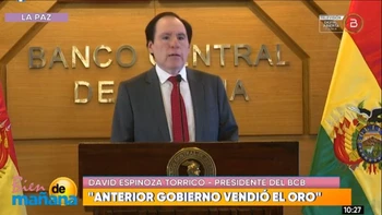 Bolivia enfrenta riesgo financiero por concentración excesiva en reservas auríferas y falta de diversificación.