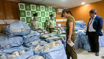 Detención de tres bolivianos y incautación de casi una tonelada de marihuana y ketamina líquida en la frontera chilena con