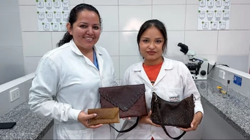 Desarrollando cuero vegetal biodegradable: un biomaterial sostenible que transforma residuos en moda ambientalmente amiga.