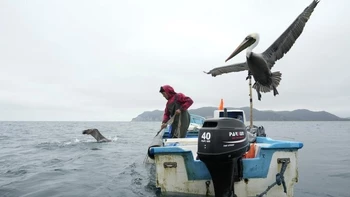 "Ecuador: La disputa por el envío de droga a lanchas rápidas genera violencia y muerte en Puerto López"