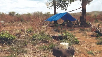 "Productores agrícolas piden justicia y orden en Bolivia, condenando los avasallamientos y reclamando cárcel para los responsables".