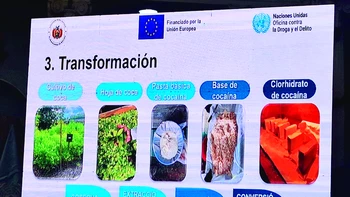 Modificación de la Ley General de la Coca prevista por sobreproducción ilegal en Bolivia y necesidad de estudio técnico