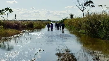 Pérdidas agrícolas y aislamientos en El Puente: 1.500 hectáreas de soya afectadas por inundaciones y daños estimados.
