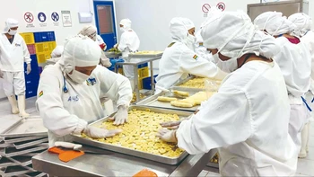 "La expansión innecesaria del Estado boliviano: 20 años de crecimiento descontrolado en gastos y sueldos"