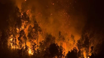 Incendios forestales en Chile: Detenido un sospechoso y muertes crecientes, con más de 20.000 damnificados y miles de casas destruidas.