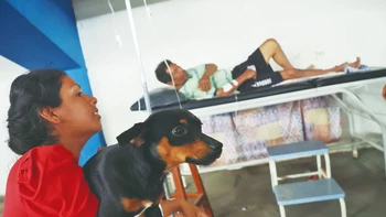 " Familias sobreviven a la riada en Quebrada León, salvando vidas pero perdiendo hogar y bienes"