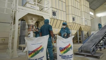 Ministerio de Desarrollo Productivo exige justicia severa para Franklin Flores tras su intento de evadirla