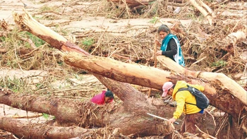 Desastre en Valle Sánchez: pérdida de bosque de protección y vulneración de normasambientales en la zona del río Piraí y
