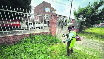 La situación escolar: maleza, goteras y baños en mal estado generan preocupación antes del inicio de clases.