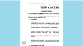 Denuncia al juez que admitió acción contra personería de ADN y pone en riesgo elecciones subnacionales de 2026.