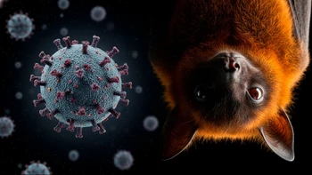 "Epidemia de alta letalidad: el virus Nipah, una zoonosis asiática que requiere medidas preventivas oportunas"