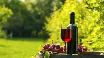 Vinoamérica 2026 reunirá expertos internacionales en Tarija para promocionar la vitivinicultura boliviana y su potencial turístico.