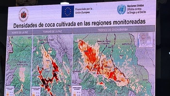 La producción ilegal de cocaína prevalece en Bolivia con un 91,5% de la hoja cultivada en el Chapare destinado al