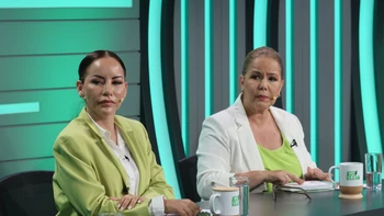 La restauración de Santa Cruz: Sosa propone orden, revitalización y 1000 obras para recuperar la ciudad dinamitada.