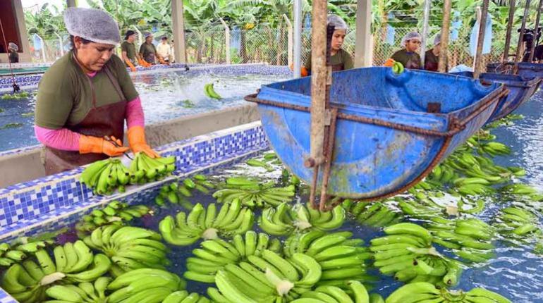 Bolivia registró un balance de exportaciones récord en 2025, impulsado por precios favorables de minerales y crecimiento industrial.