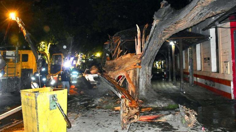 Vientos torrenciales azotan Cochabamba, derribando 17 árboles y causando daños en infraestructura y vehículos locales.