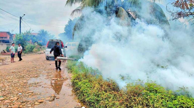 Aumento de casos de chikungunya en Cochabamba y seguimiento a mordeduras de animales y otras enfermedades prevalecientes