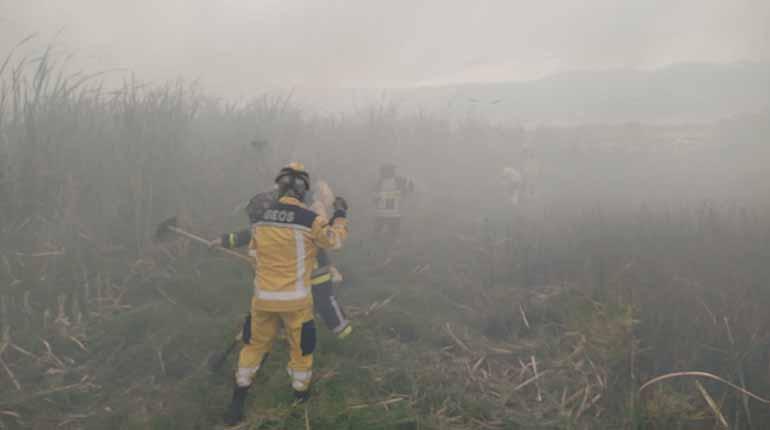 Controlados los esfuerzos para apagar el incendio forestal en la laguna Quenamari sin daños humanos reportados.