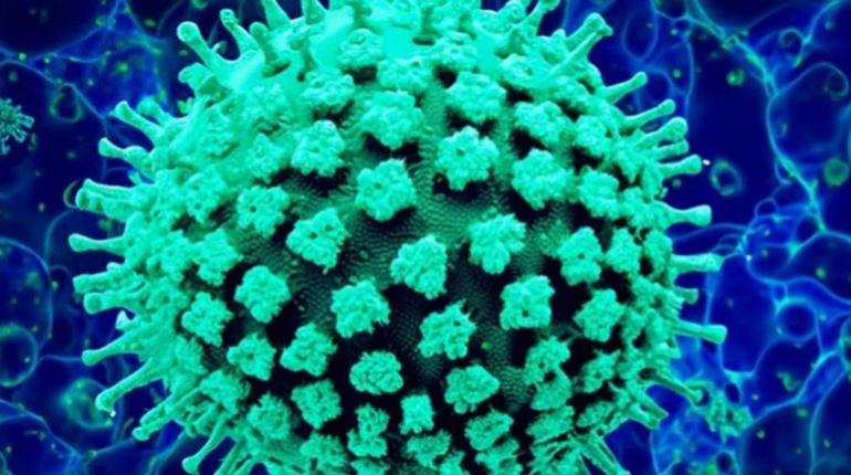 Santa Cruz entra en alerta naranja por primer caso sospechoso de gripe AH3N2 variante K procedente de Japón.