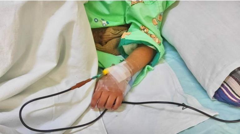 La niña de siete años, mordida por perro antes de Navidad, fallece víctima mortal de la rabia humana en Cochabamba