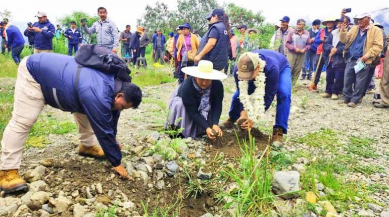 La Gobernación de Cochabamba impulsa la protección ambiental con la forestación de 11 mil plantines en cuencas críticas del departamento.