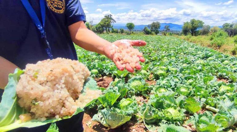Laño devastador azota a Sipe Sipe y Quillacollo, arrastrando una vida y sumiendo cultivos y estructuras en ruinas