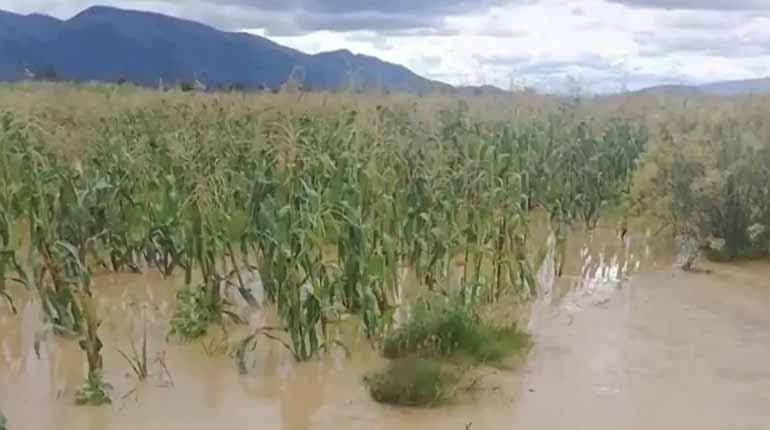 Lluvias y granizadas devastan cultivos y caminos en Tarata y Arbieto, afectando a campesinos y agricultores locales.
