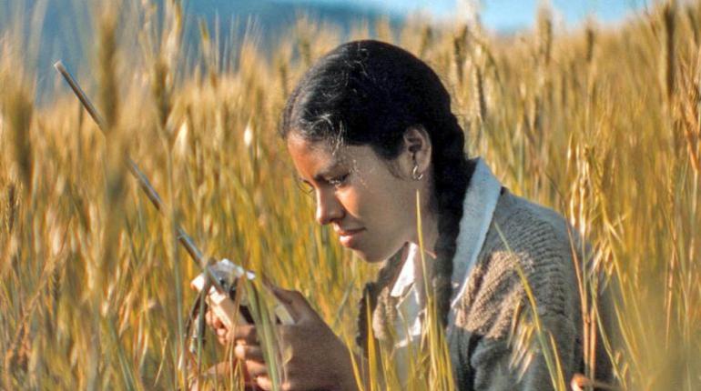 La actriz cochabambina Marisol Vallejos Montaño: De TikTok a la pantalla grande con una experiencia cinematográfica única y transformadora.