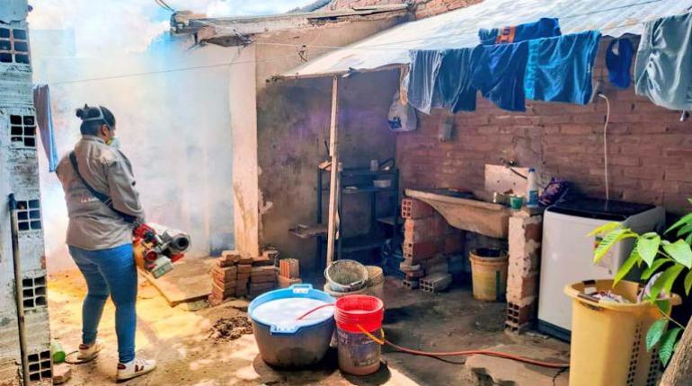 Santa Cruz lucha contra epidemia de chikungunya con alerta roja y campañas intensivas de prevención y control.