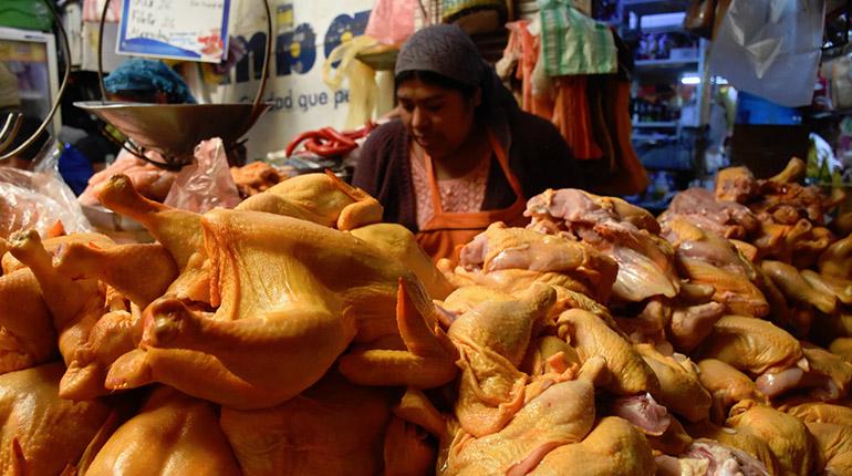 Pérdidas para productores de carne de pollo en Bolivia debido a sobreoferta y caída en la demanda