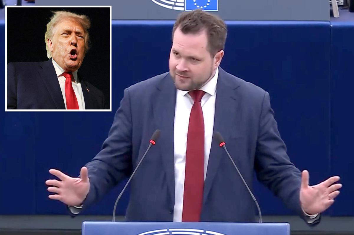Denmark's Parliament Member Anders Vistisen Confronts Trump Over Greenland Sale Amid US Threats of Tariffs