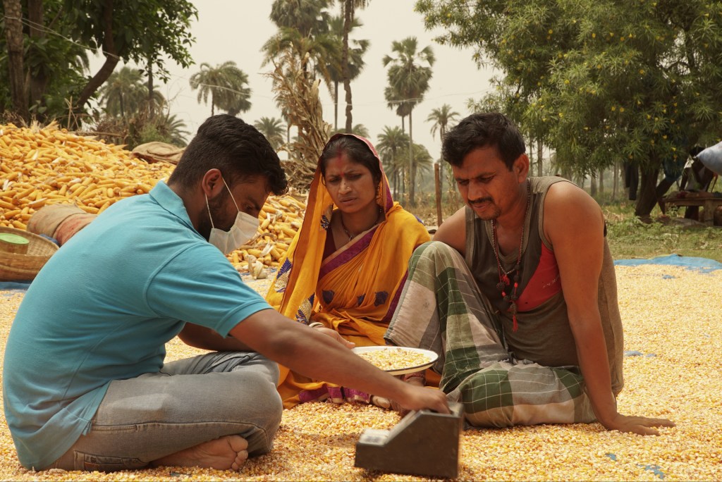 India's Arya.ag prevalece en un mercado agrícola volátil, ofreciendo servicios de almacenamiento y préstamos a gran escala para agricultores.