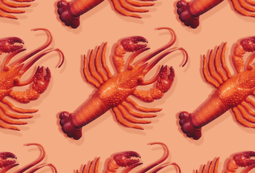 "La revolución de la inteligencia artificial: Moltbot, el asistente personal que cumple con lo prometido y más allá"