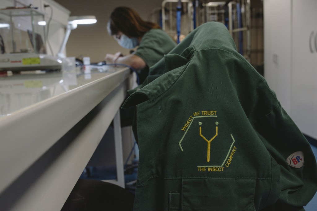 La caída de Ÿnsect: cómo una startup francesa que recaudó más de $600 millones fallió al dejar de escuchar la