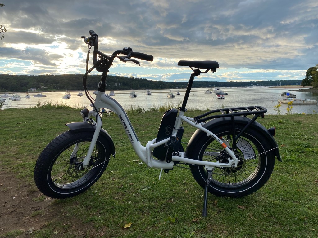 Rad Power Bikes in bankruptcy proceedings, seeks to sell business as e-bike market faces new challenges following pandemic boom.