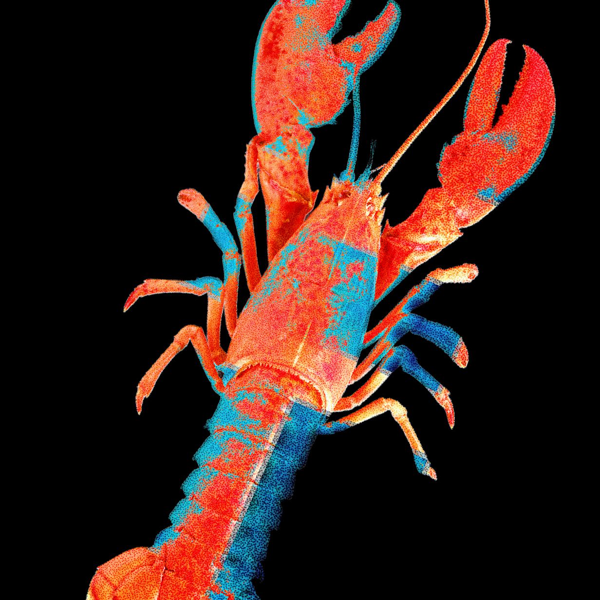 "Análisis de seguridad revela vulnerabilidades en aplicaciones y plataformas creadas con inteligencia artificial"