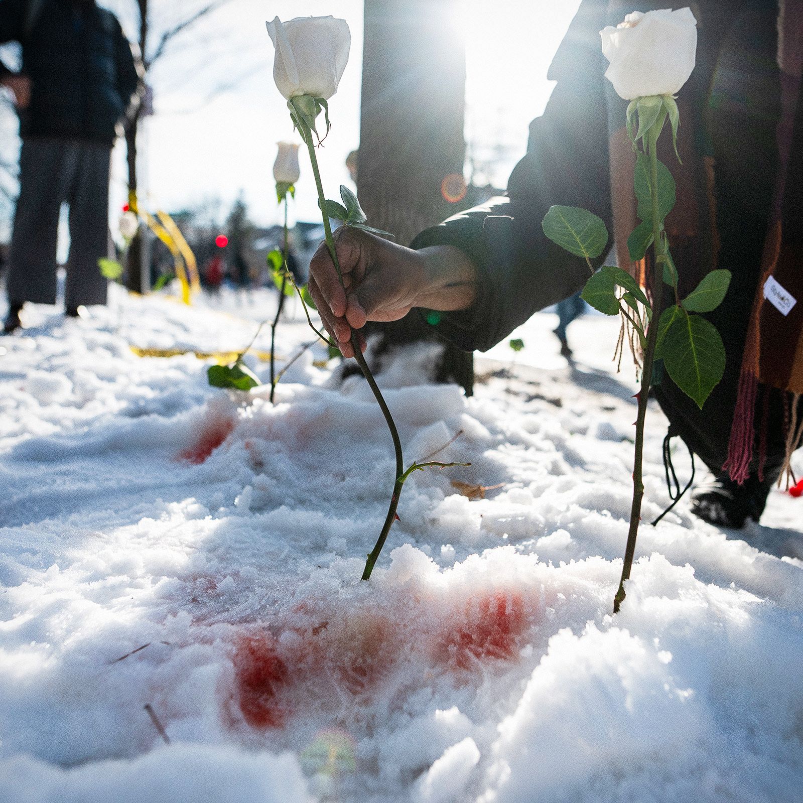 "La impunidad de los agentes de ICE: una cultura de violencia sin consecuencias en Estados Unidos"